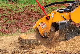 Best Hazardous Tree Removal  in Harrisville, UT