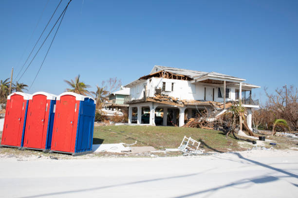 How Our Tree Care Process Works  in  Harrisville, UT