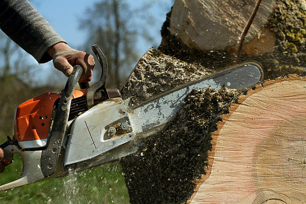 Best Aeration Services  in Harrisville, UT